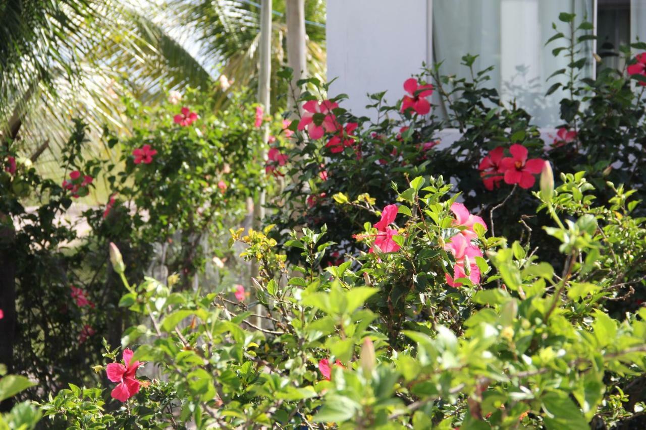 Pousada Thai Bungalows-Taipu De Fora Barra Grande  Exteriér fotografie