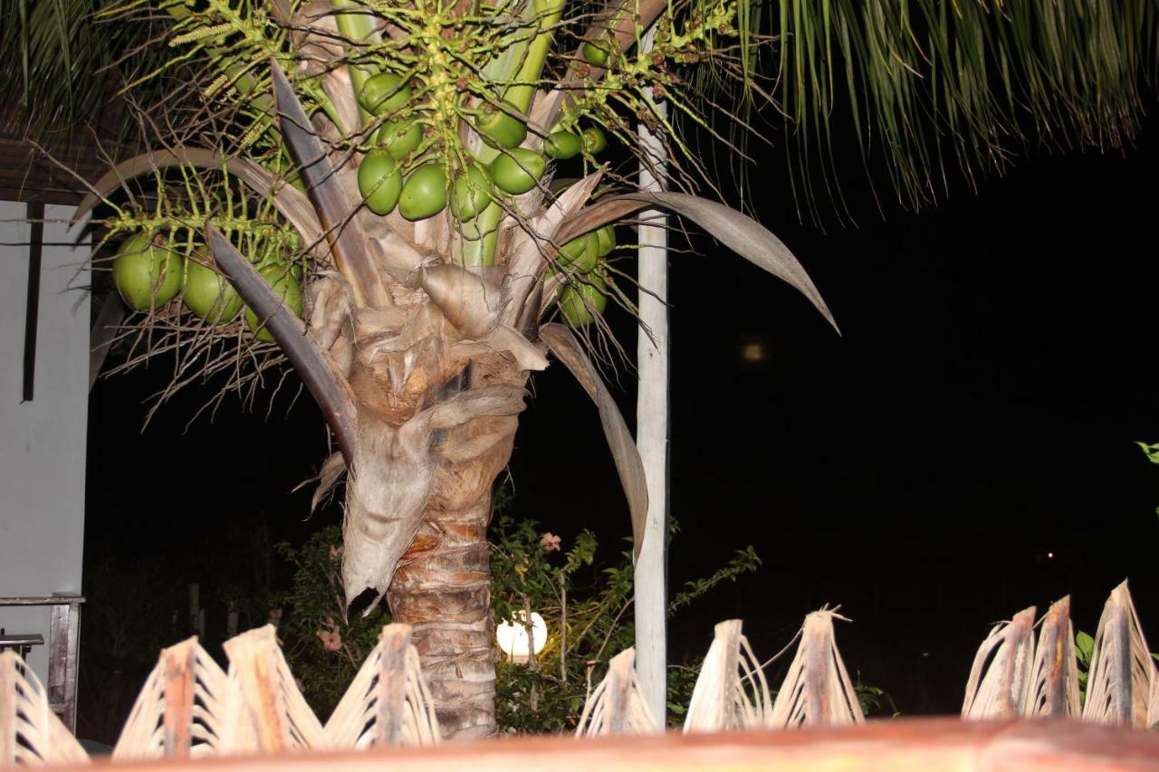 Pousada Thai Bungalows-Taipu De Fora Barra Grande  Exteriér fotografie